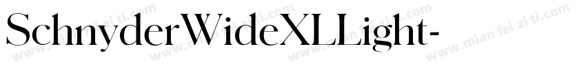 SchnyderWideXLLight字体转换