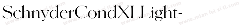 SchnyderCondXLLight字体转换