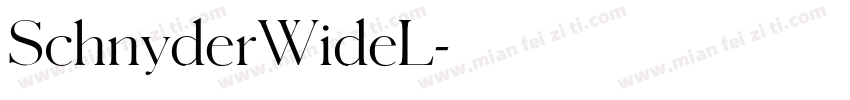 SchnyderWideL字体转换