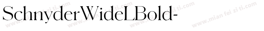 SchnyderWideLBold字体转换