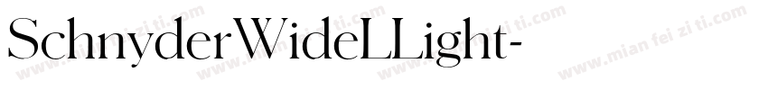 SchnyderWideLLight字体转换