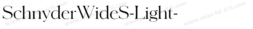 SchnyderWideS-Light字体转换