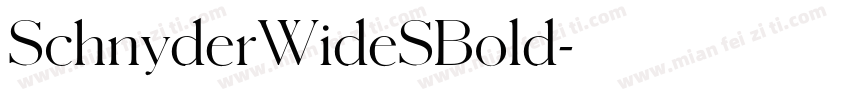 SchnyderWideSBold字体转换