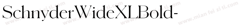 SchnyderWideXLBold字体转换