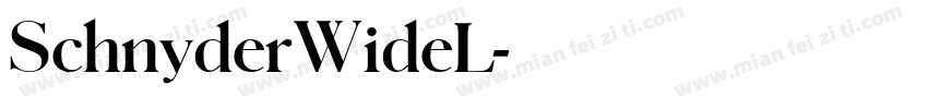 SchnyderWideL字体转换