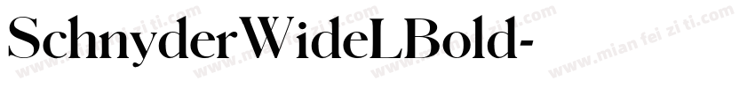 SchnyderWideLBold字体转换