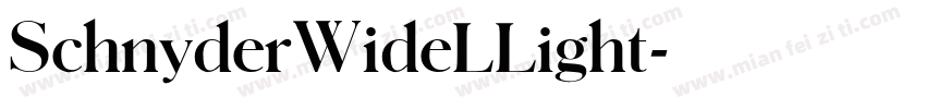 SchnyderWideLLight字体转换
