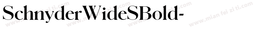 SchnyderWideSBold字体转换