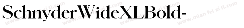 SchnyderWideXLBold字体转换