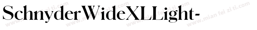 SchnyderWideXLLight字体转换