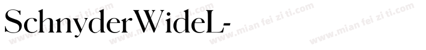 SchnyderWideL字体转换