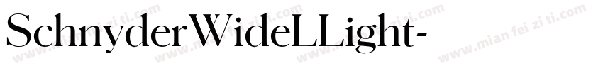 SchnyderWideLLight字体转换