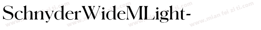 SchnyderWideMLight字体转换