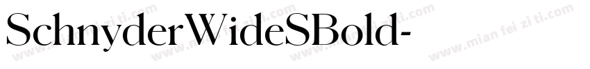 SchnyderWideSBold字体转换