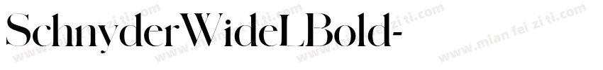 SchnyderWideLBold字体转换