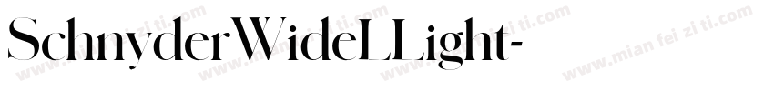 SchnyderWideLLight字体转换
