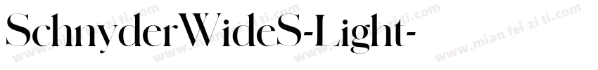 SchnyderWideS-Light字体转换
