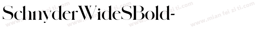 SchnyderWideSBold字体转换