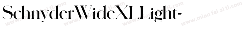 SchnyderWideXLLight字体转换
