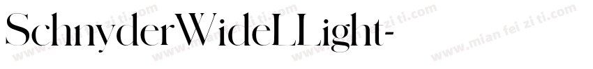 SchnyderWideLLight字体转换