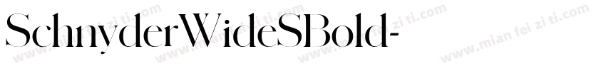 SchnyderWideSBold字体转换