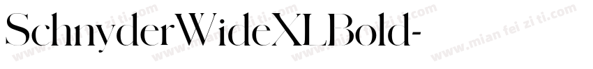 SchnyderWideXLBold字体转换