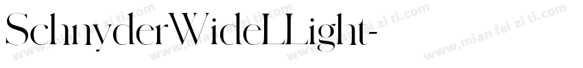 SchnyderWideLLight字体转换