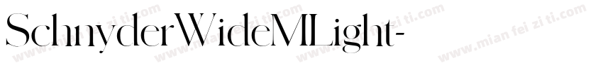 SchnyderWideMLight字体转换