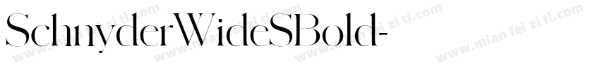 SchnyderWideSBold字体转换