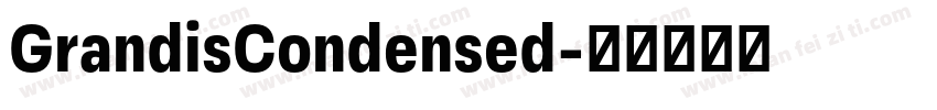 GrandisCondensed字体转换