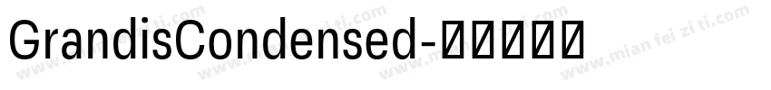 GrandisCondensed字体转换