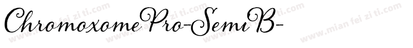 ChromoxomePro-SemiB字体转换