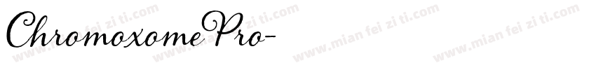 ChromoxomePro字体转换