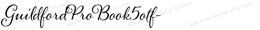 GuildfordProBook5otf字体转换