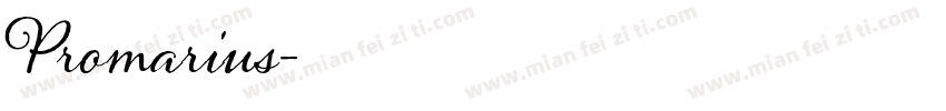 Promarius字体转换