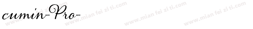 cumin-Pro字体转换
