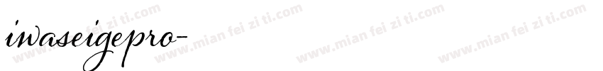 iwaseigepro字体转换