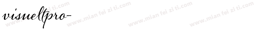visueltpro字体转换