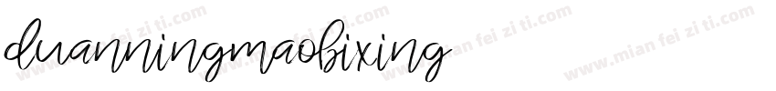 duanningmaobixing字体转换