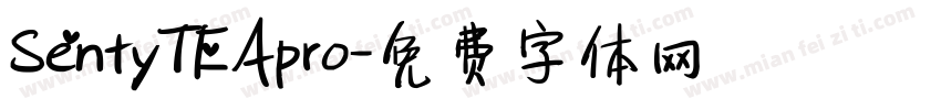 SentyTEApro字体转换