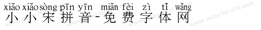 小小宋拼音字体转换
