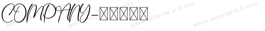 COMPANY字体转换