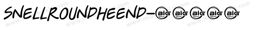 snellroundheend字体转换