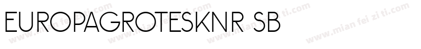 EuropaGroteskNr2SB字体转换