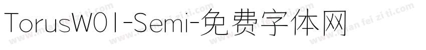 TorusW01-Semi字体转换
