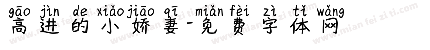 高进的小娇妻字体转换