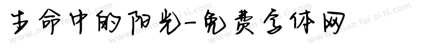 生命中的阳光字体转换