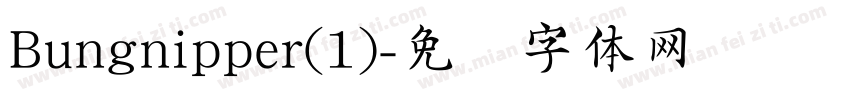 Bungnipper(1)字体转换
