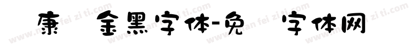 华康俪金黑字体字体转换