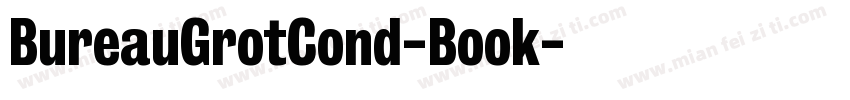 BureauGrotCond-Book字体转换